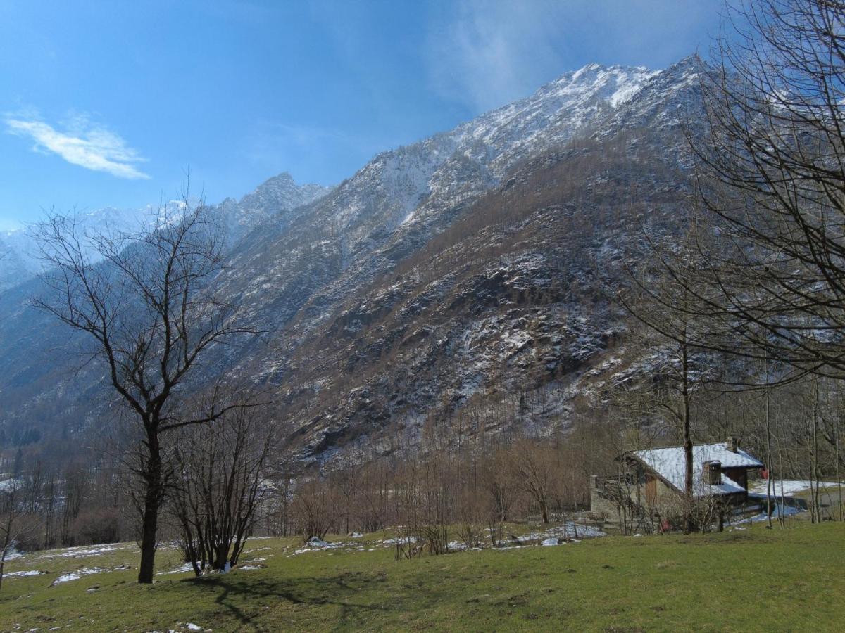 La Mura' - Il Vostro Posto Nel Gran Paradiso Ronco Canavese Exterior foto